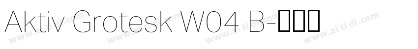 Aktiv Grotesk W04 B字体转换